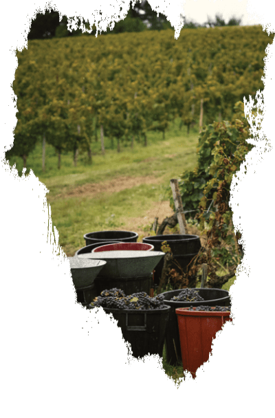 Estampes Terroir2